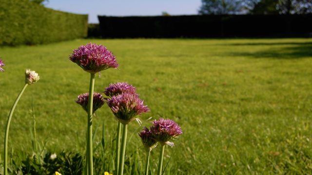 Conversion Studios Grounds